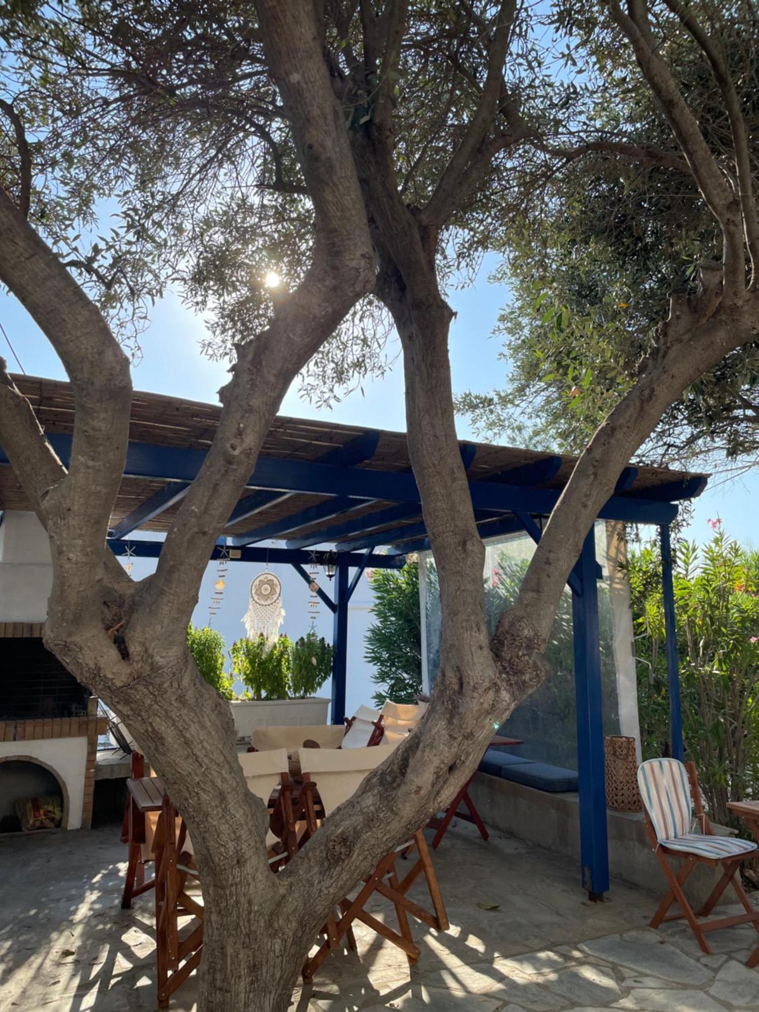 Villa Gelly'S Studios Alikí 외부 사진