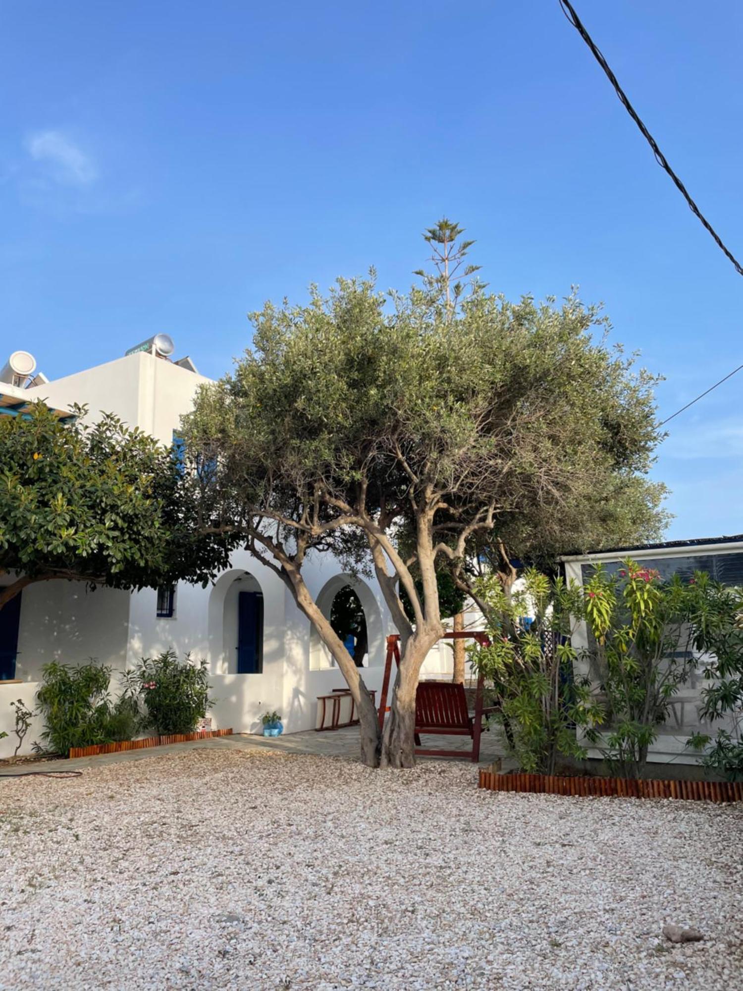Villa Gelly'S Studios Alikí 외부 사진